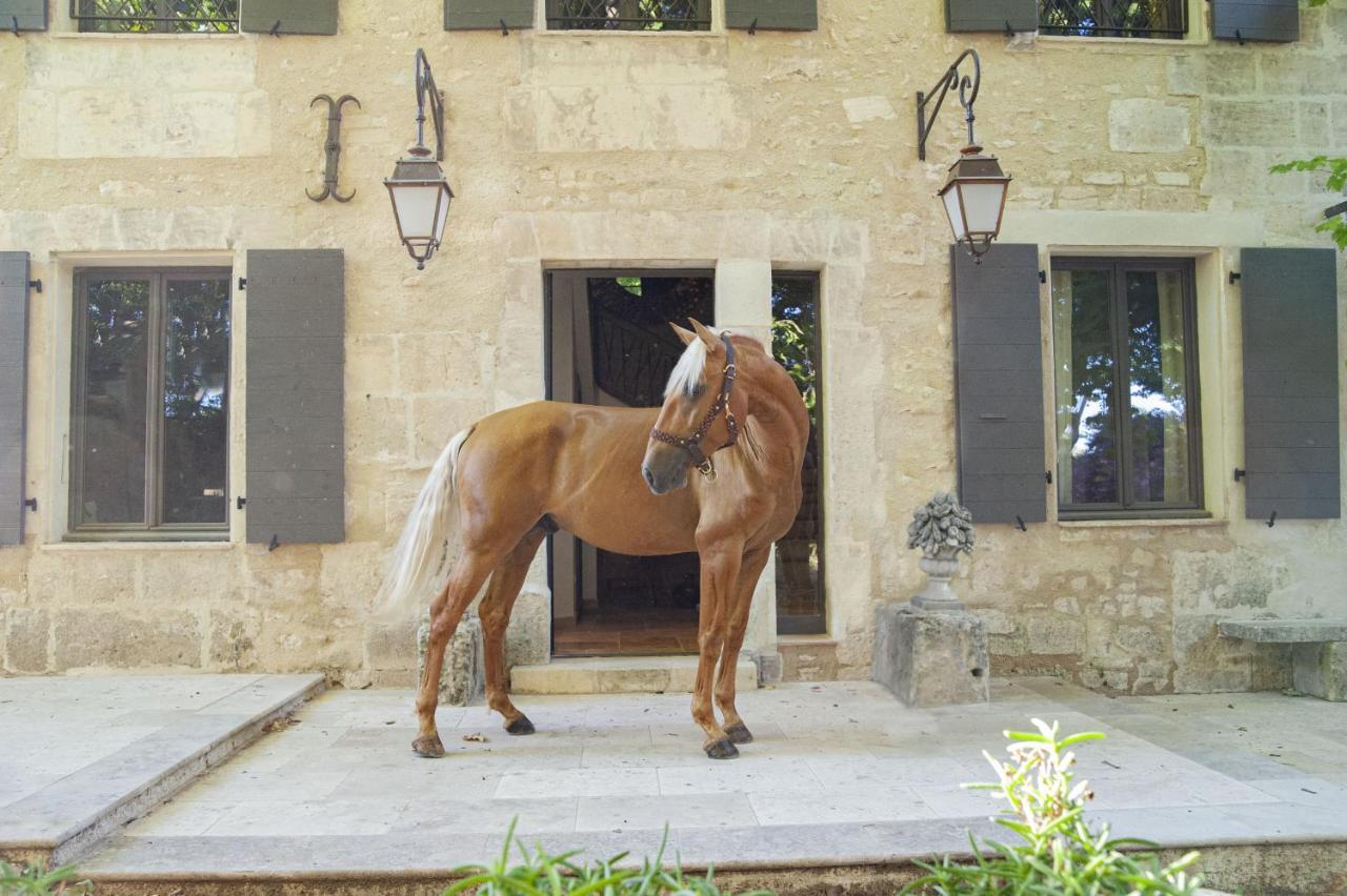 Domaine Cap Rubis Bed & Breakfast Paradou Luaran gambar